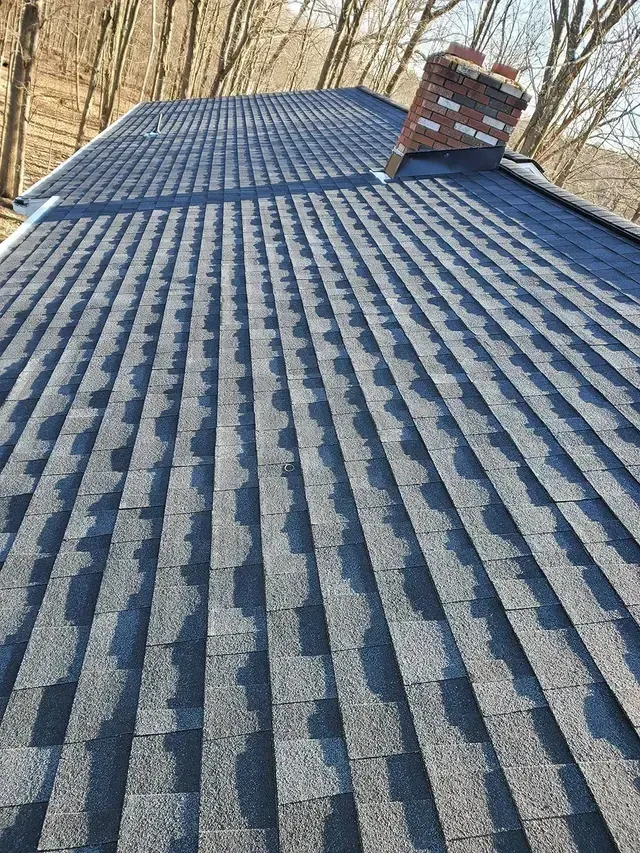 Dark gray shingled roof with a brick chimney. Sunlight casts shadows on the shingles. Trees in the background.