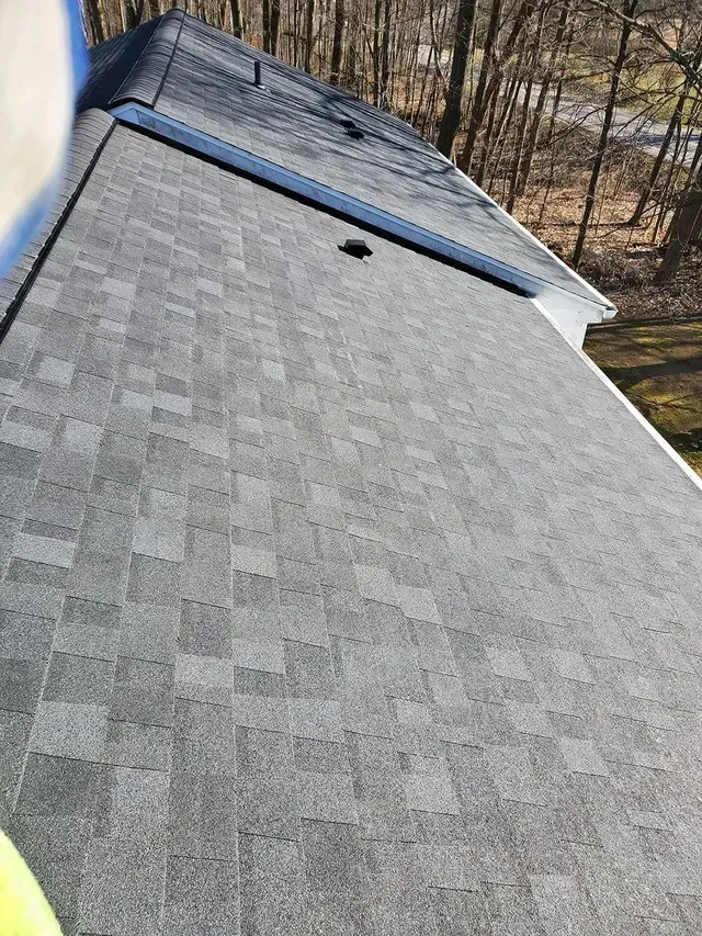 Gray shingle roof, black vent, and trim against a backdrop of bare trees.