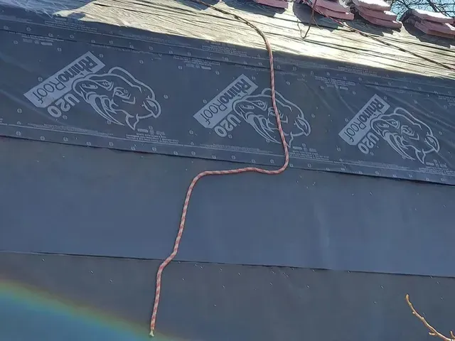 A roof edge with copper-colored rope hanging down; underlayment with