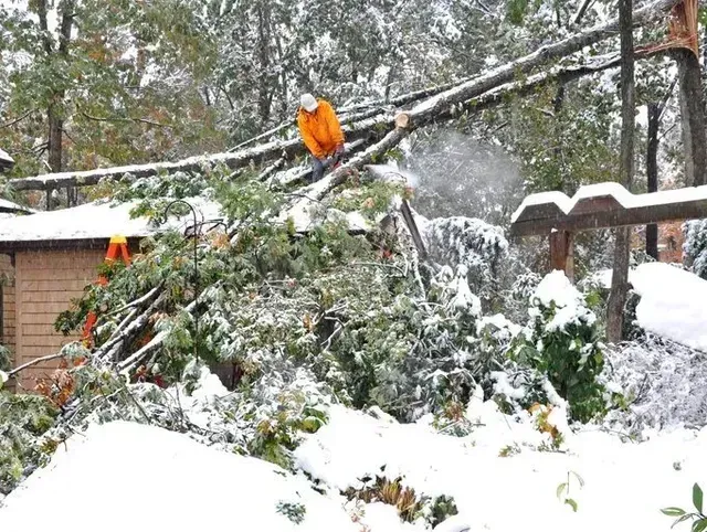 Person in orange jacket cutting a tree branch that has fallen on a building in a snowy setting.