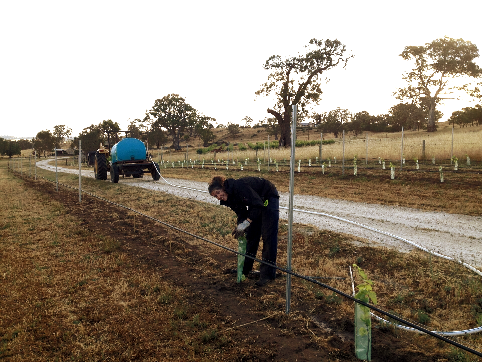 Boutique Winemaking