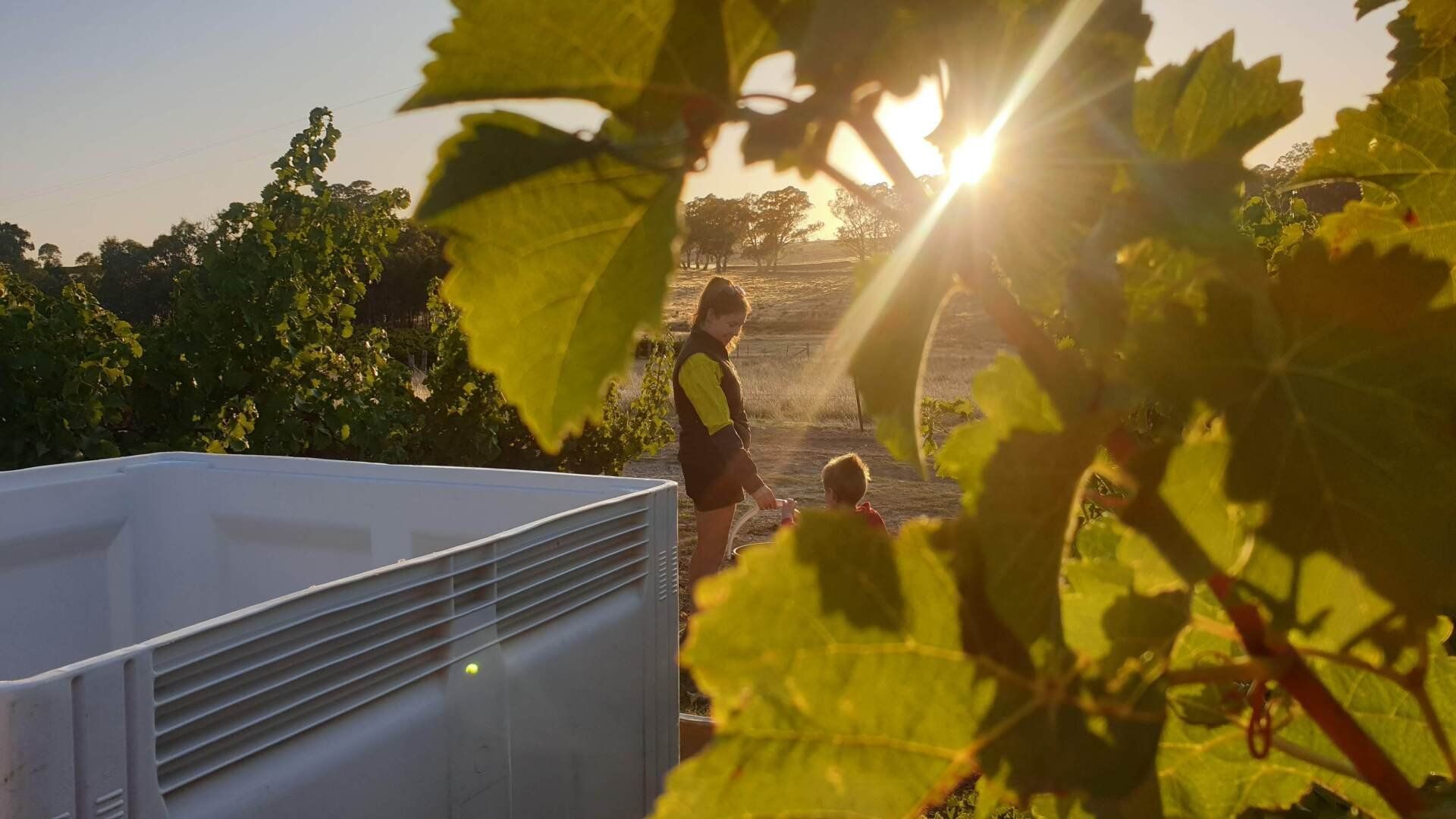 Family operated winery