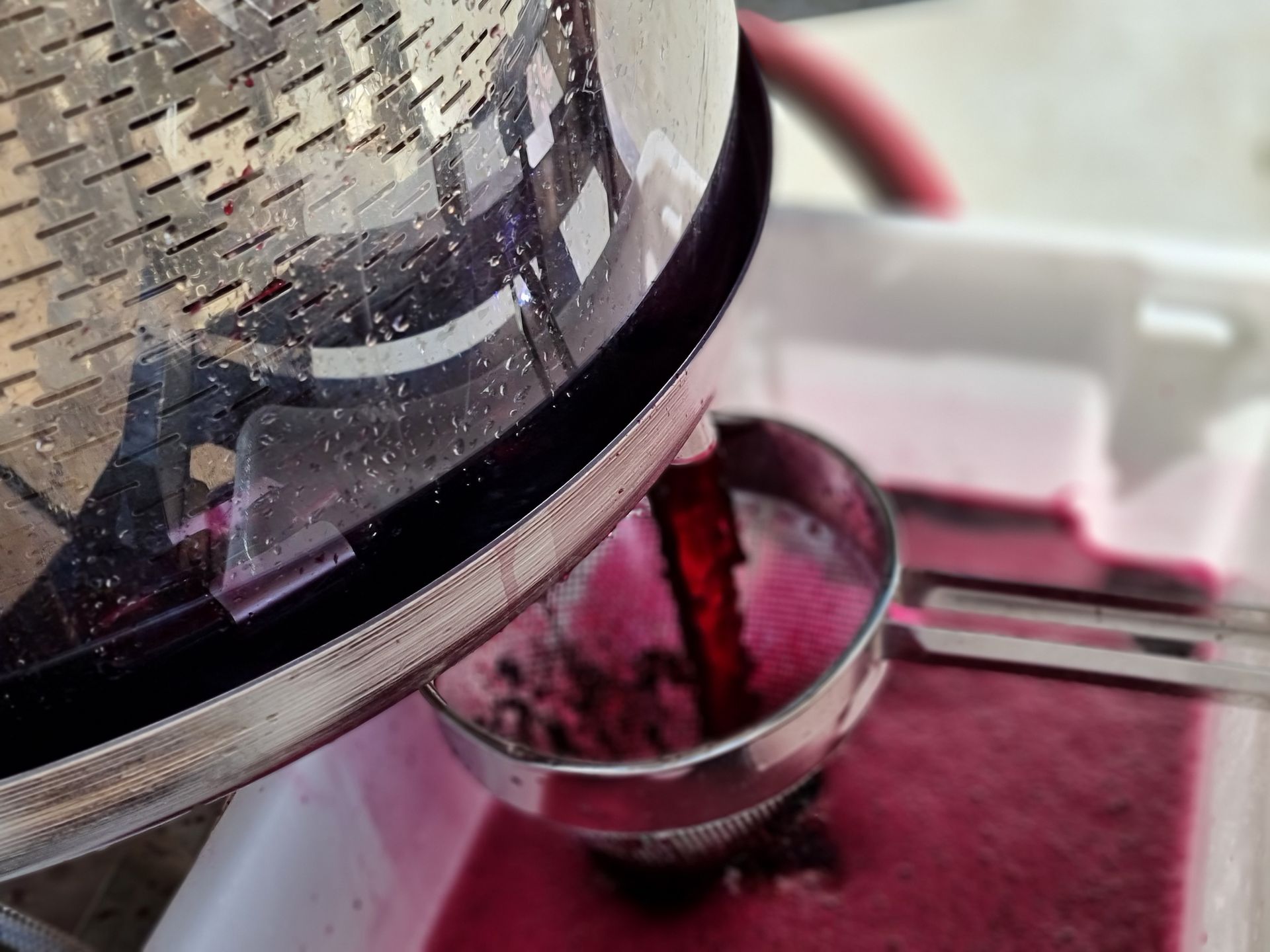 Basket pressed Shiraz
