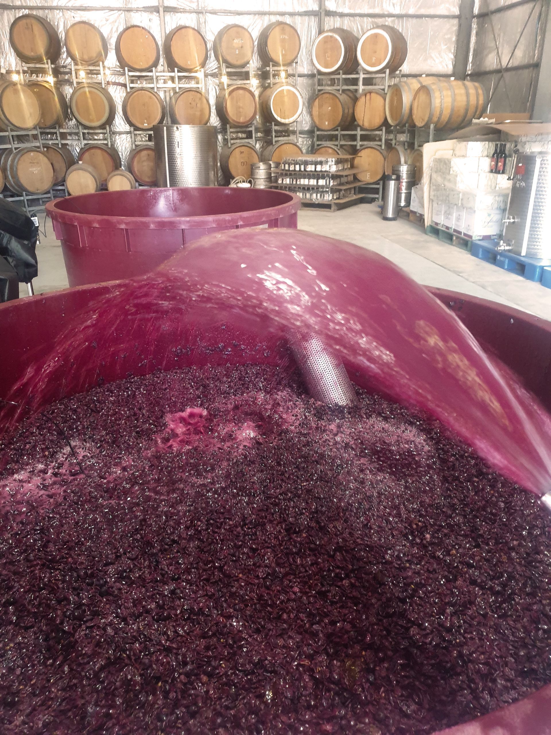 Boutique Winemaking