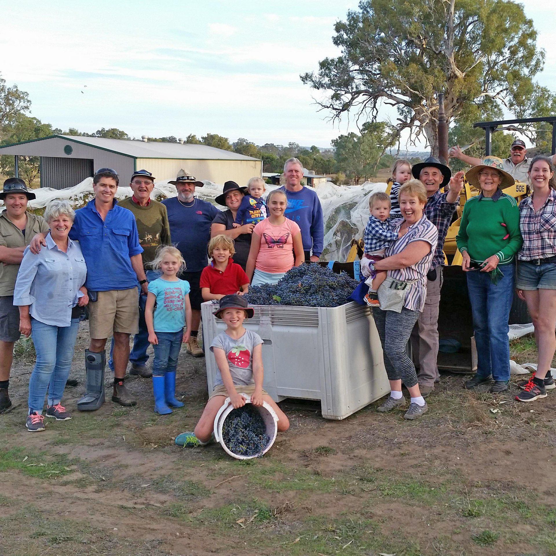 Cabernet Sauvignon Picking team