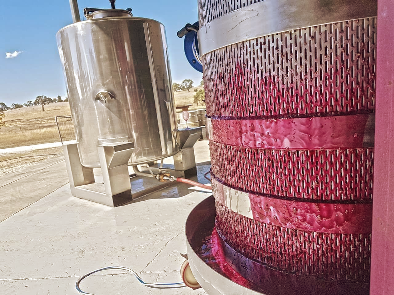 Boutique Winemaking