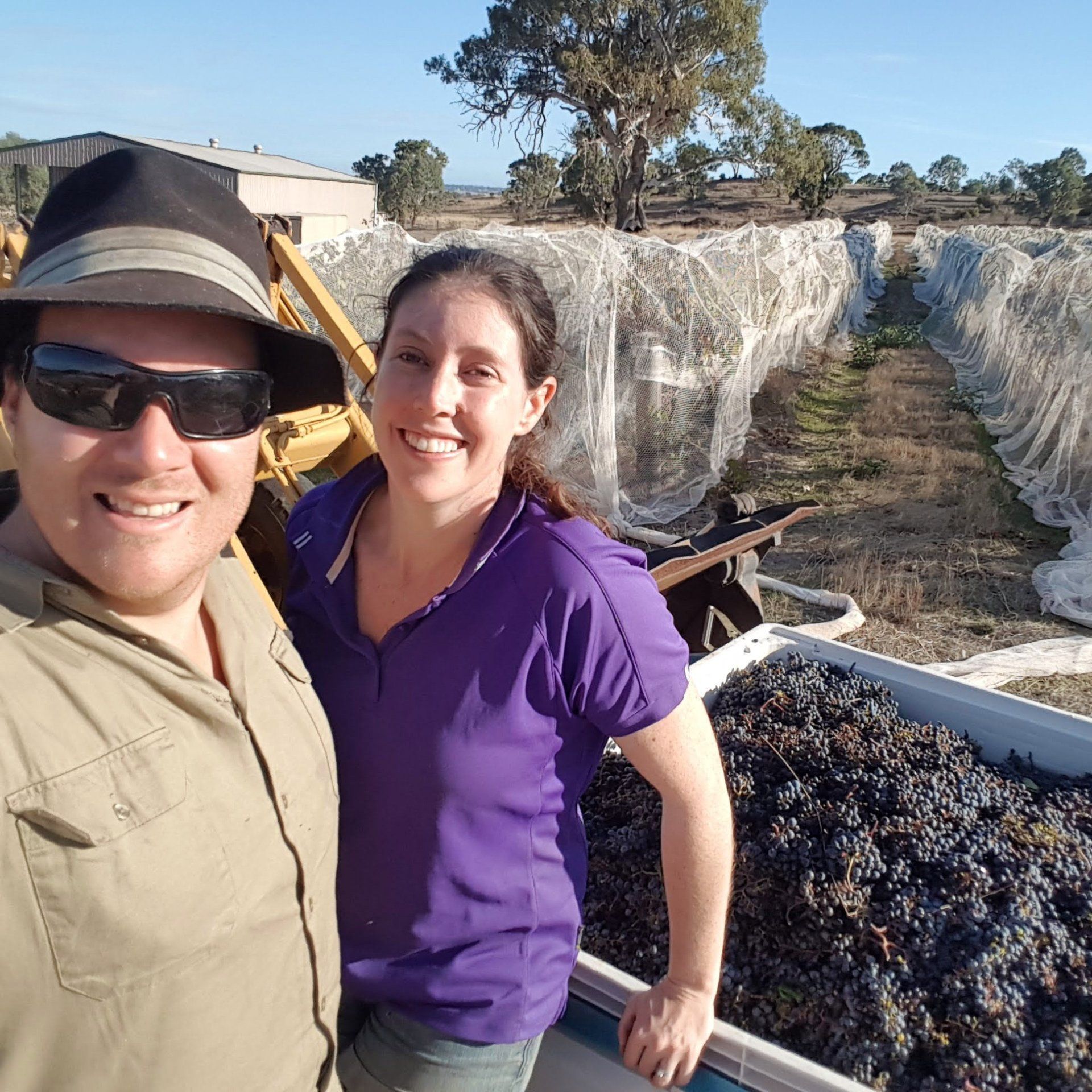Merlot Picking team