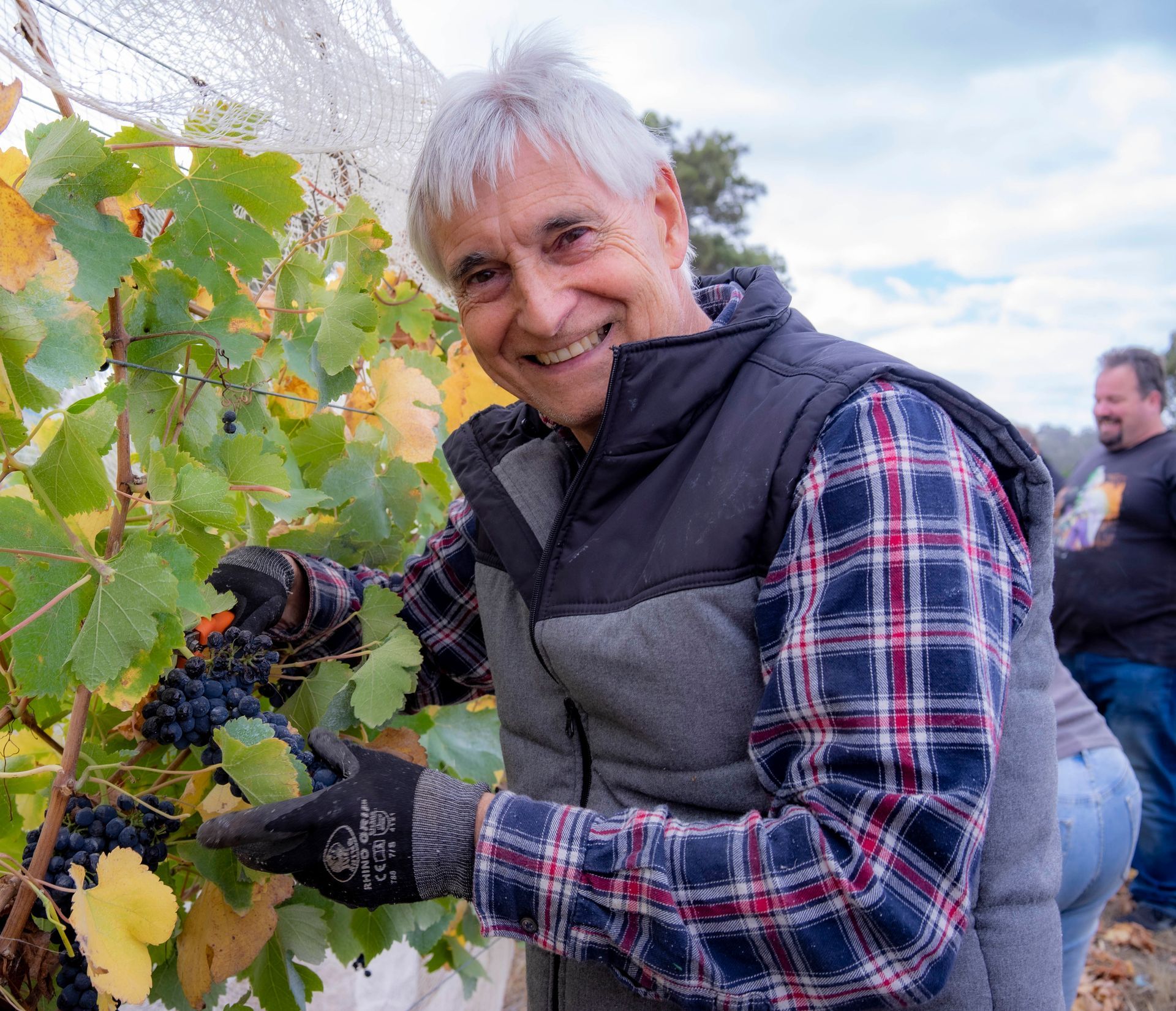 Our family hand-picking the grapes