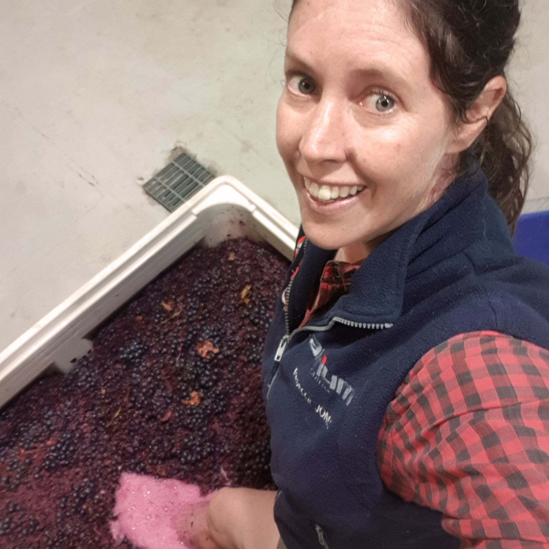 Boutique Winemaking