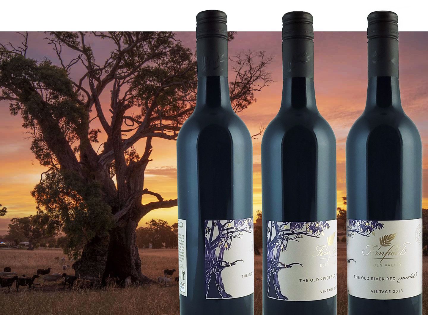 The Old River Red Merlot