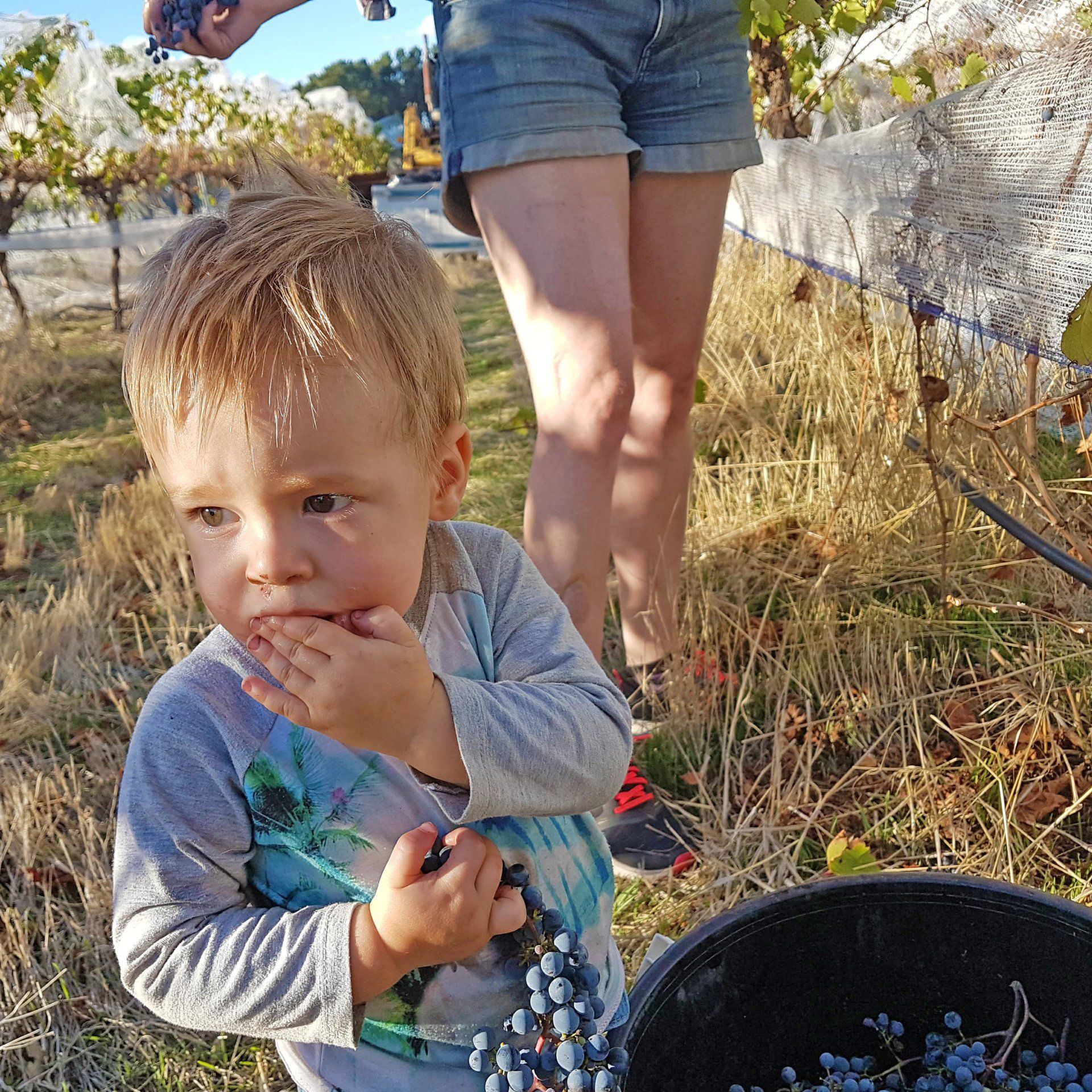 Family Operated Winery
