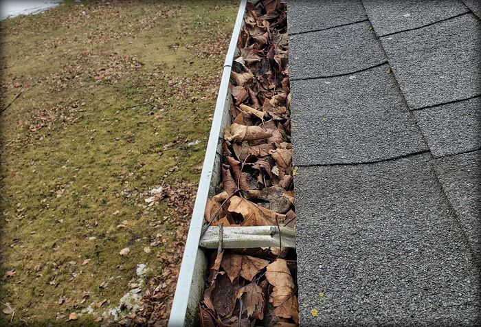 gutter
