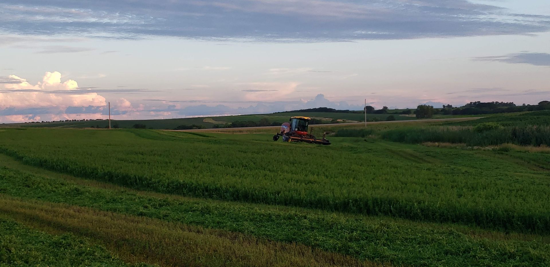 Chopping alfalfa at Rokeyroad Creamery