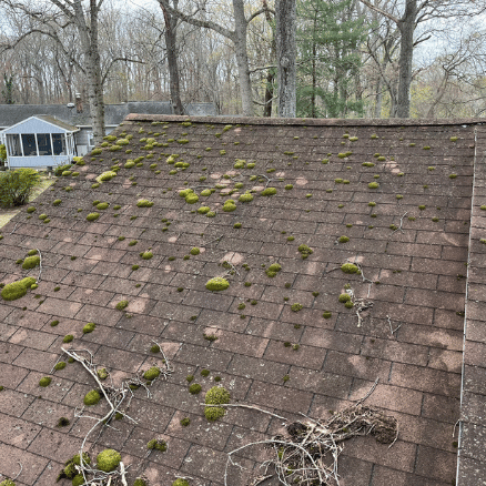 Roof Replacement Weathering on Roof in Central Maryland covered by American Remodeling Corp.