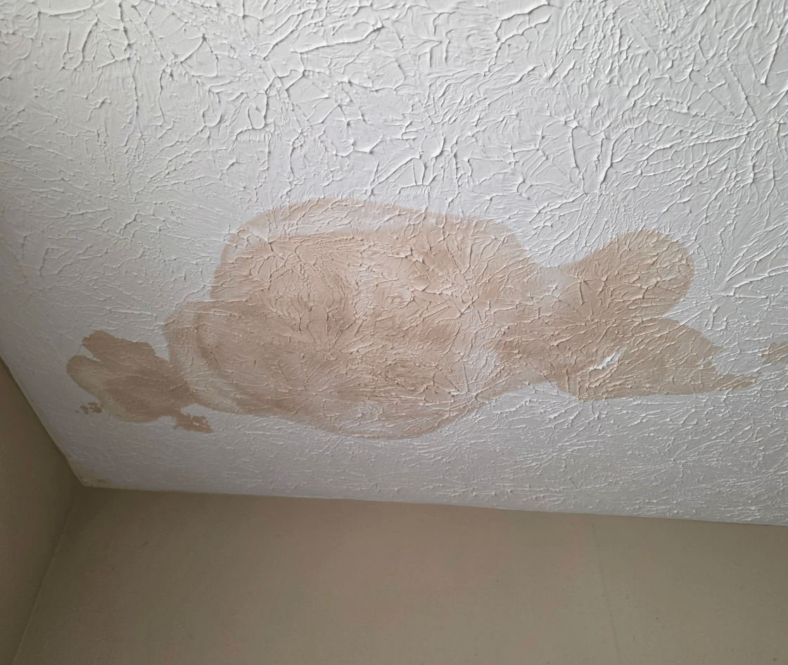 Roof Leak Ceiling Stain County  Maryland Roof Repair Company Maryland Roofing Contractor