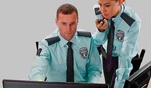 SEGURIDAD PRIVADA SEPEBSA - ELEMENTOS DE SEGURIDAD