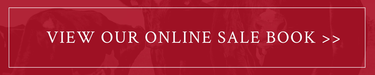 Red banner button reading “VIEW OUR ONLINE SALE BOOK >>”