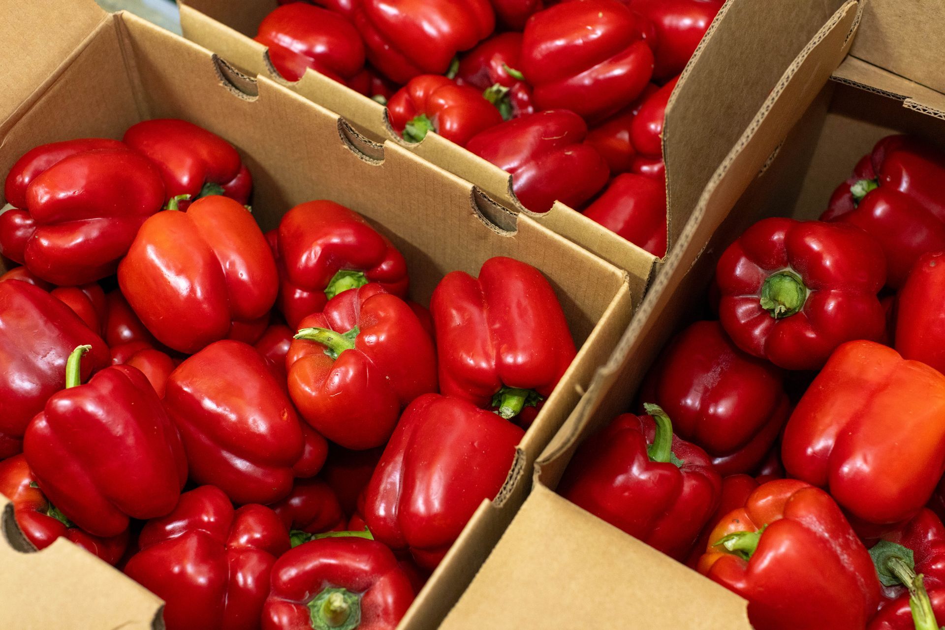 Red bell peppers overflowing from cardboard produce boxes.
