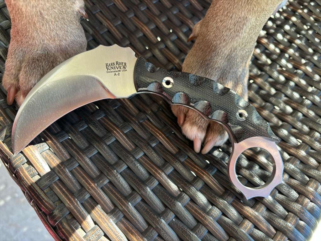 A curved karambit knife with a black handle rests on a woven surface, with dog paws in the background.