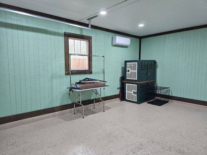 A grooming room with green walls, a table, window, dog crates, and an air conditioner.