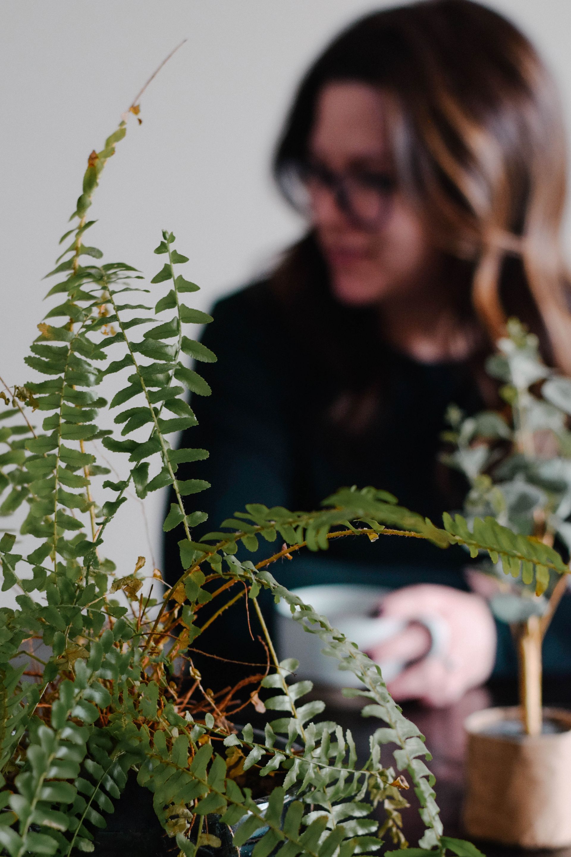 Fern plant in focus, woman in background wearing glasses and green shirt, sitting at table.