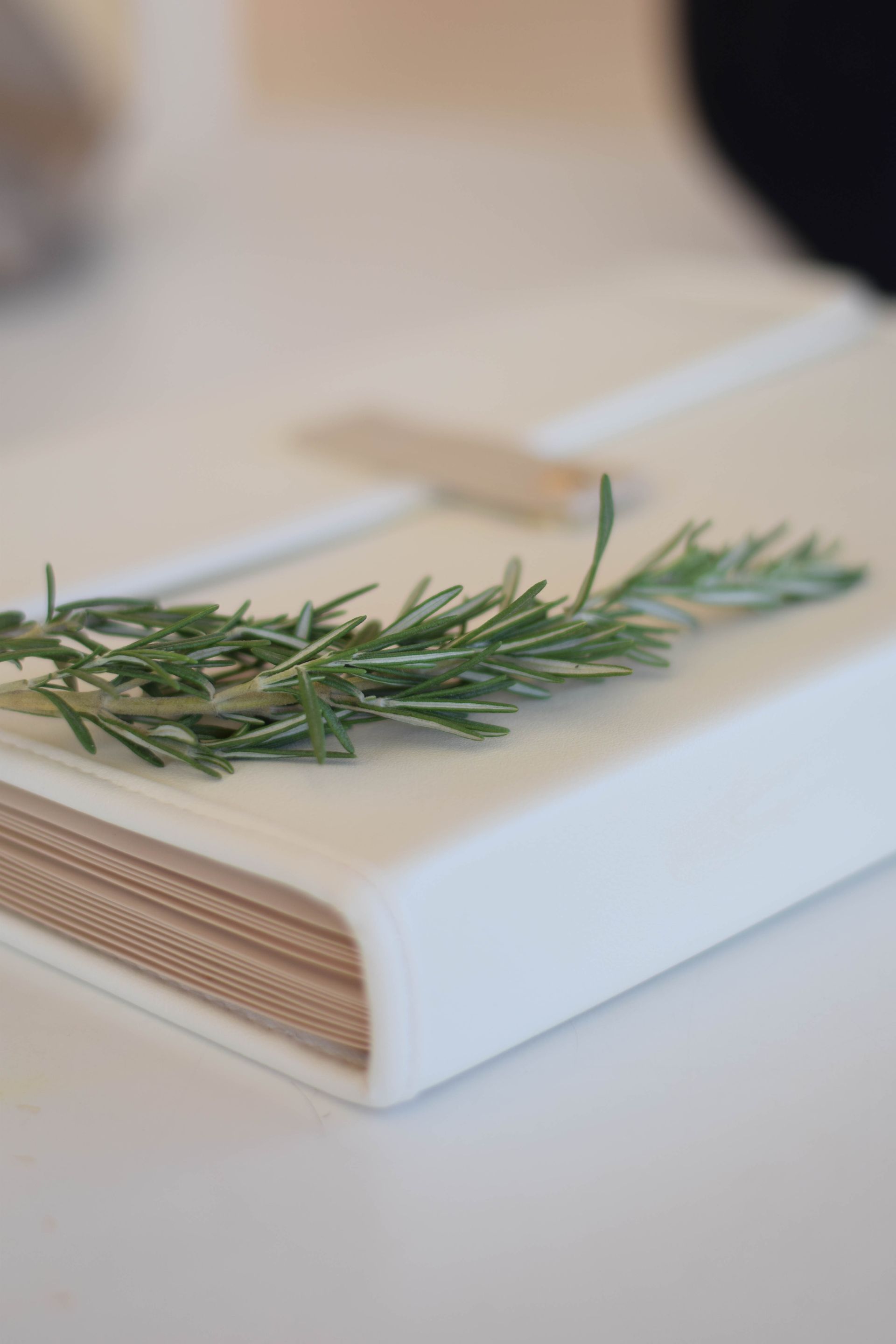 White book with rosemary sprig on a white surface.