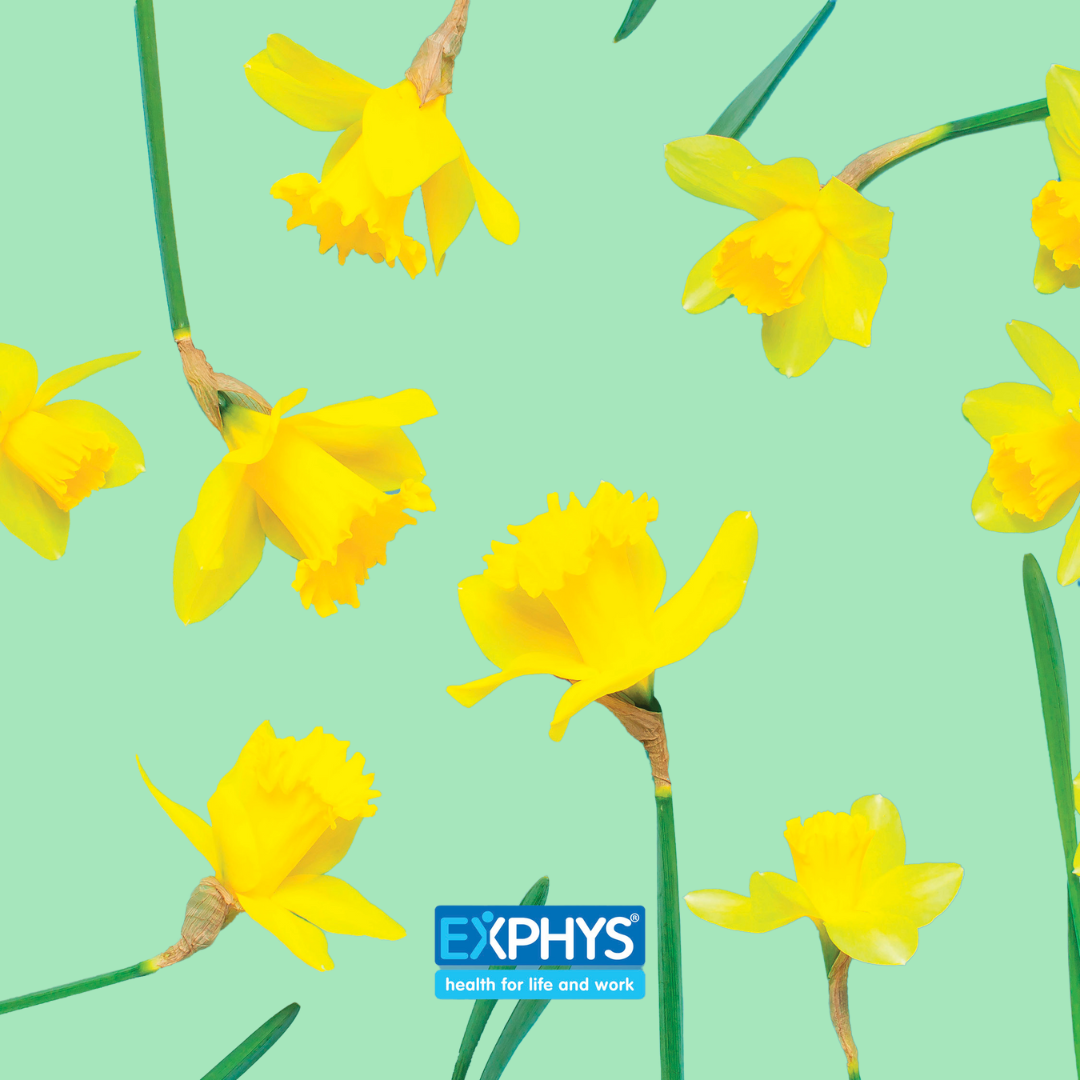 Daffodil Day 2025