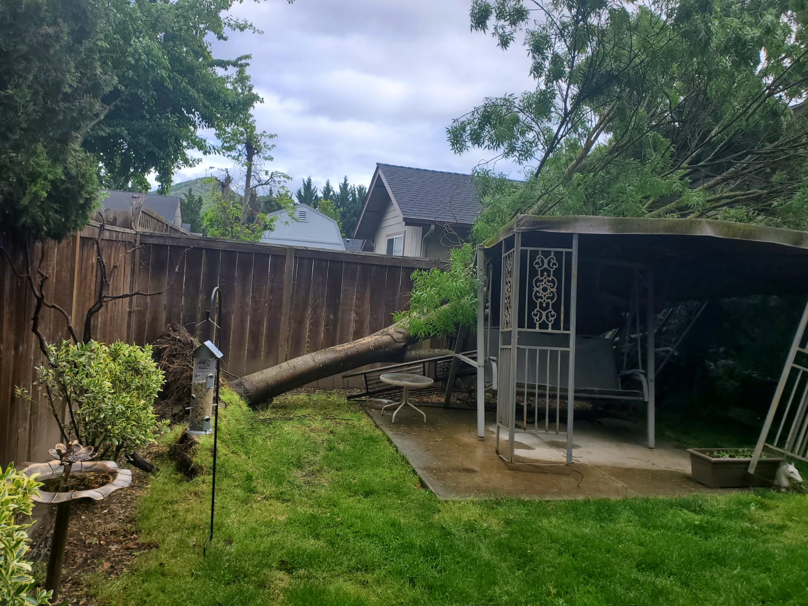 Top Rated Emergency Tree Removal Service in Grants Pass, Oregon