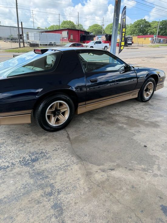 A black third-generation Pontiac Firebird with tan lower body trim and gold wheels parked on a paved lot.