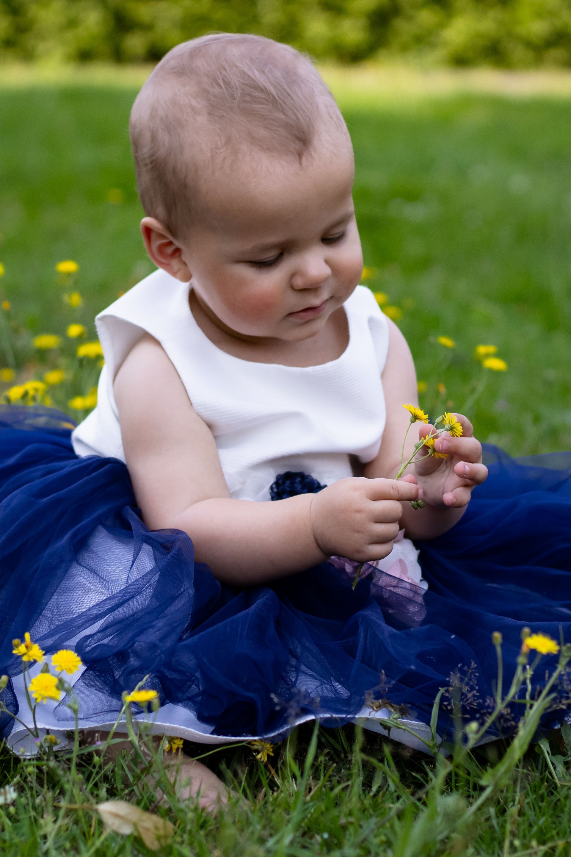 Een baby in een wit topje en een donkerblauw tutu-rokje zit in het gras en bekijkt gele bloemen.