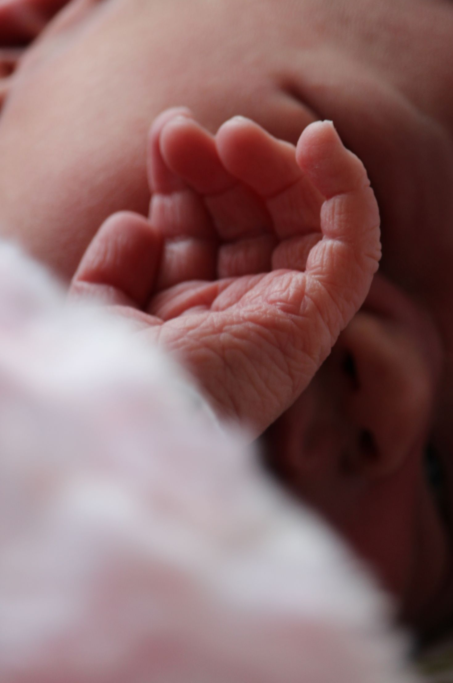 Het kleine handje van een pasgeboren baby rust op zijn gezichtje. Zachte, roze huid, gekrulde vingertjes.