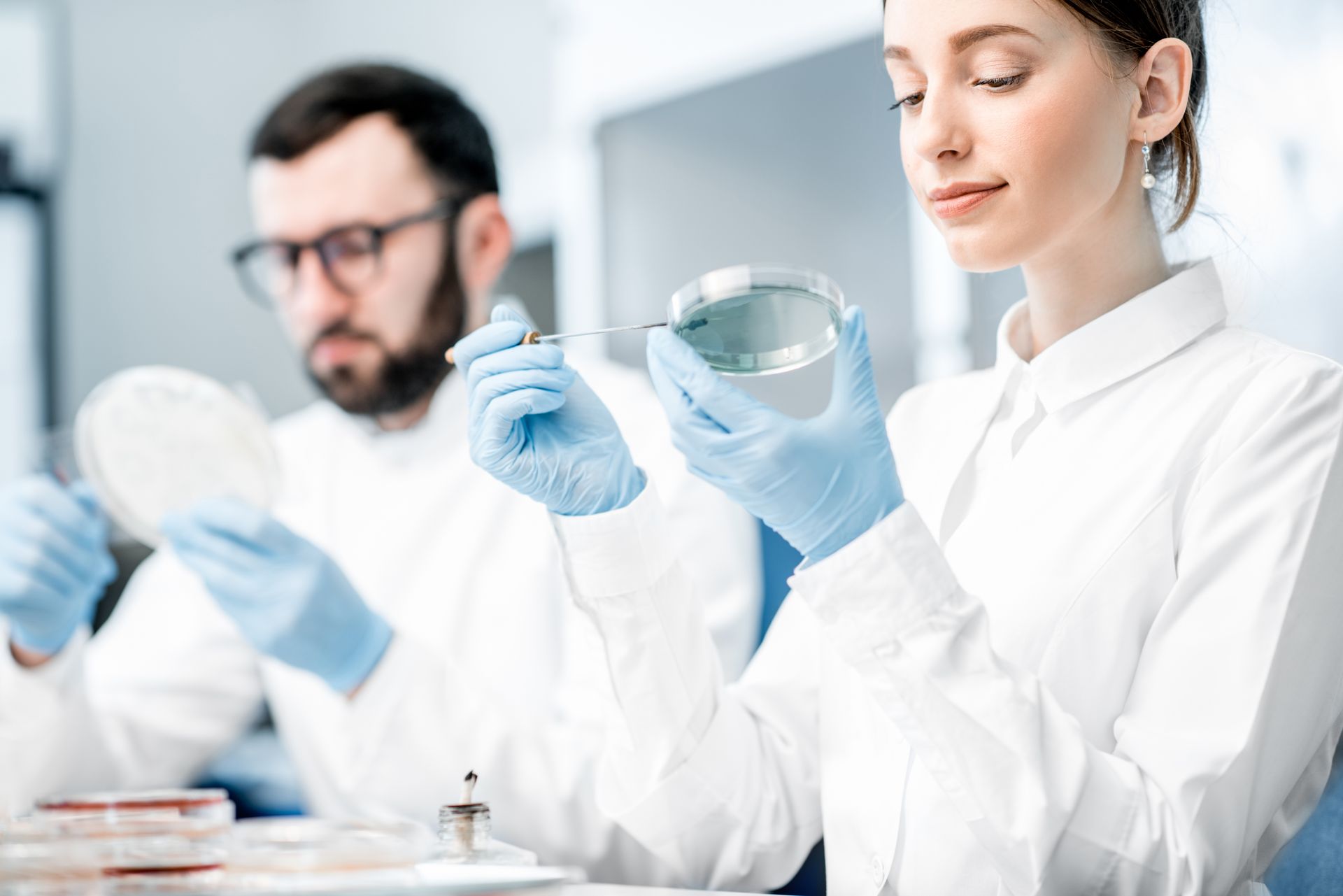 Un homme et une femme travaillent dans un laboratoire. la femme tient une boîte de Pétri.