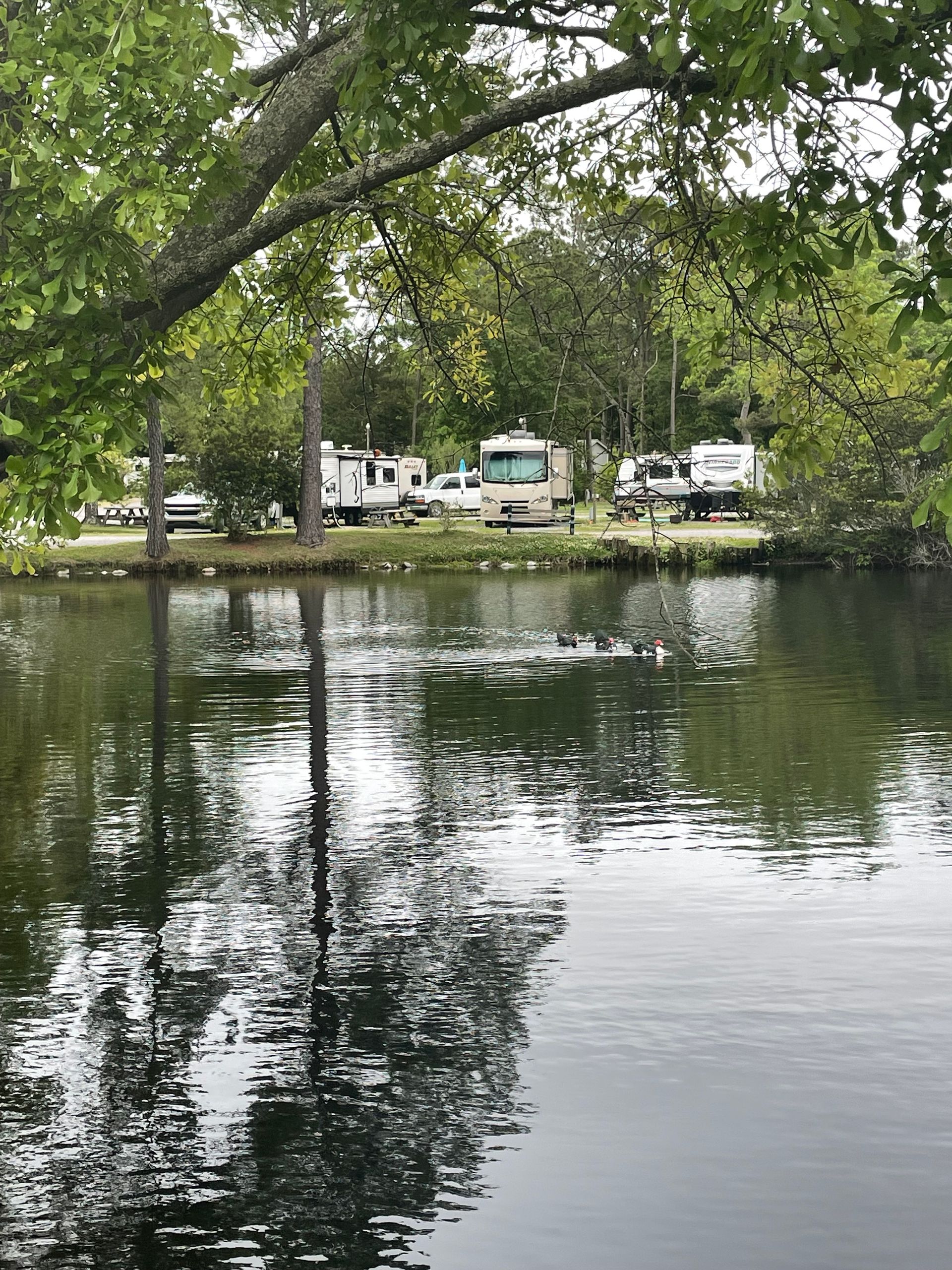 Lake Aire RV Park — photo 5