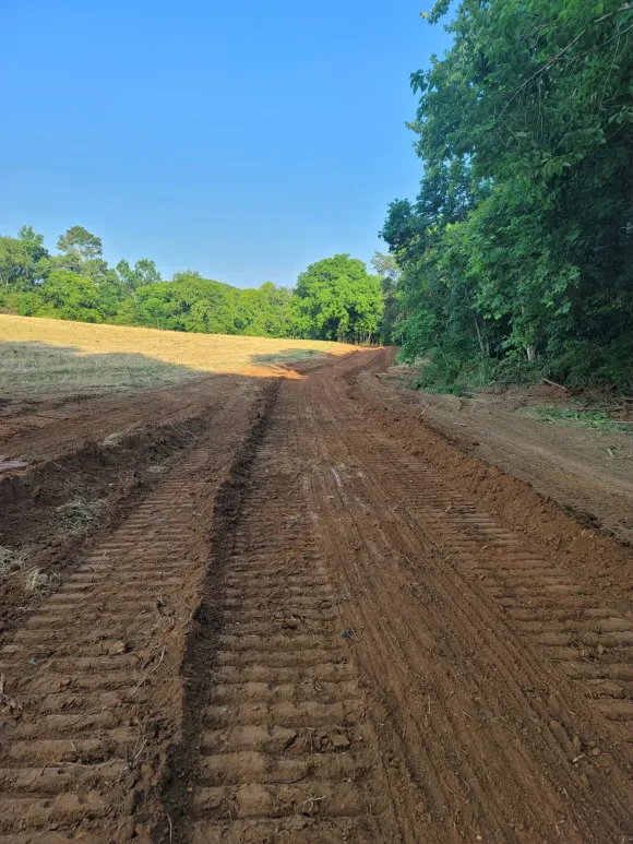 Dirt path leading through a field, bordered by trees on the right and more trees in the background under a blue sky.