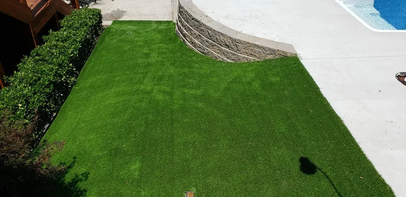 Lush green lawn next to a stone retaining wall and a pool. A trimmed green hedge lines the left side.