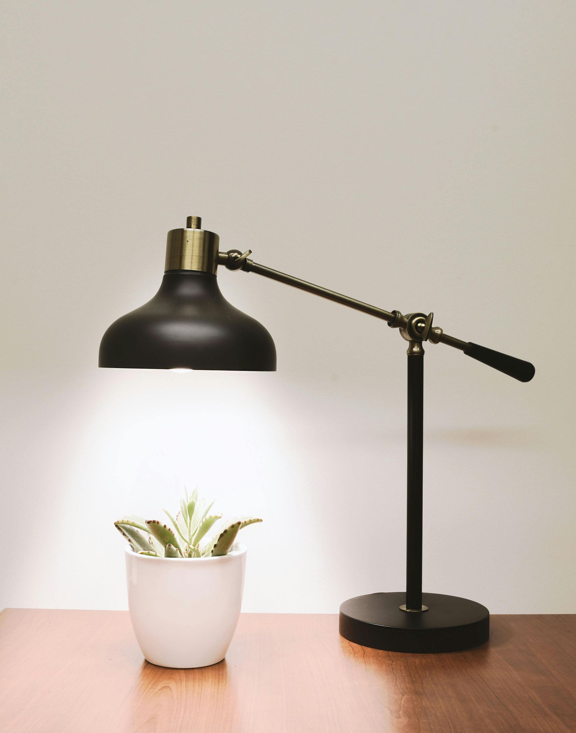 Black desk lamp illuminating a small potted succulent on a wooden surface.