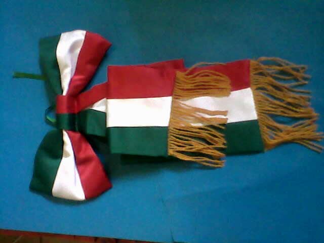 BANDERAS Y BANDEROLAS 