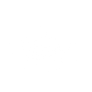 Charlottesville aesthetics