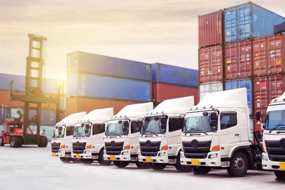 Shipping Containers and a Fleet of White Truck — Logistics Support in Forster, NSW