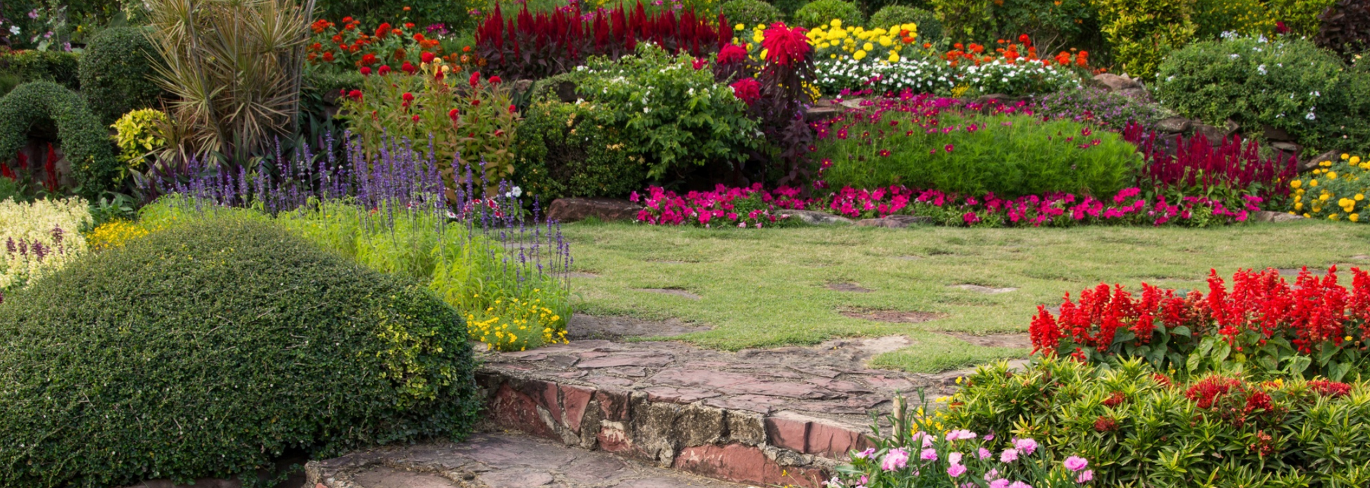 Picture of a pretty domestic garden. Picture of a pretty domestic garden.