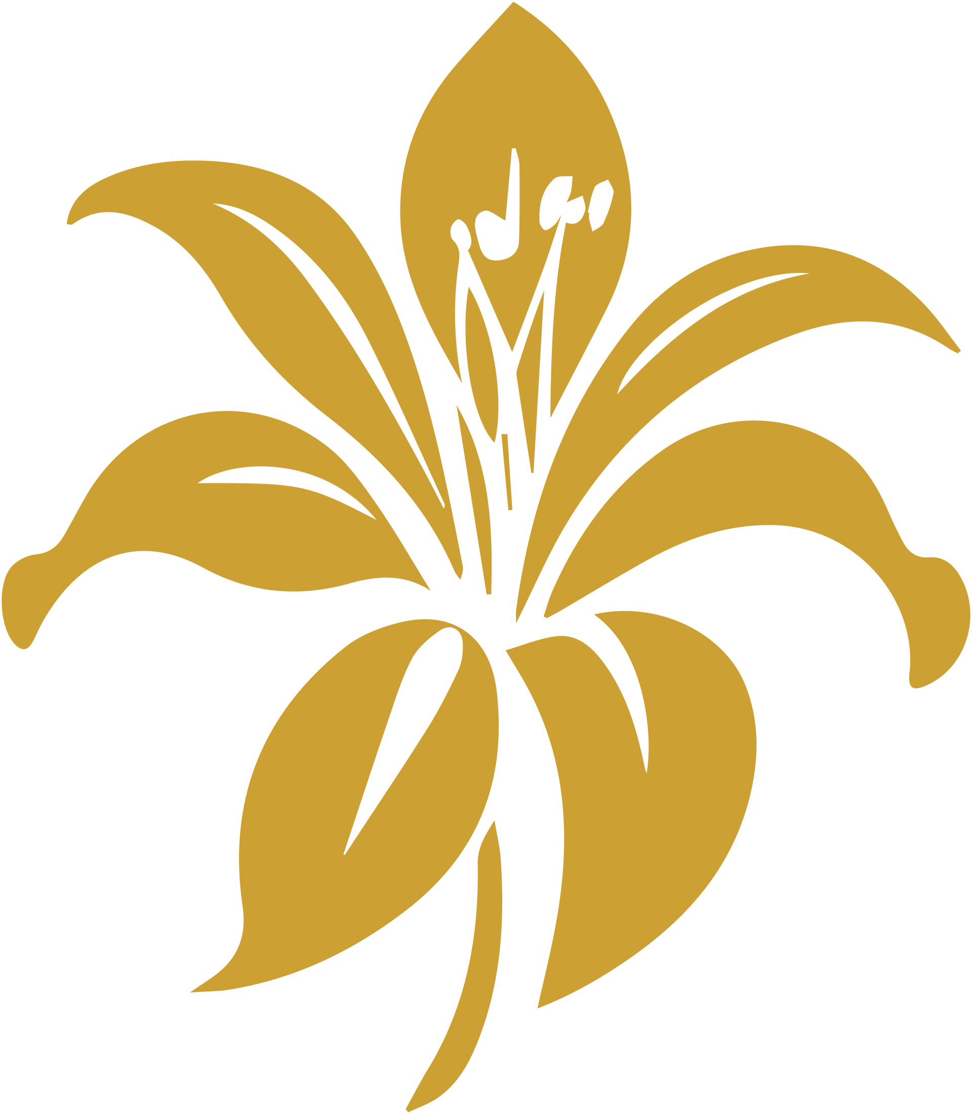 Lilly package