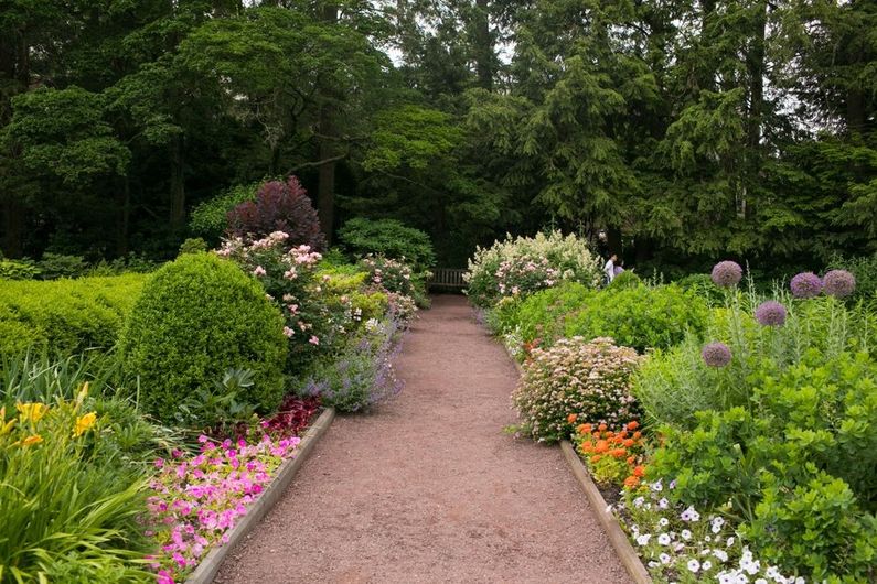 Garden path lined with colorful flowers and shrubs in a lush green landscape