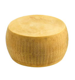 parmigiano reggiano block