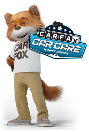 Car Fox holding a