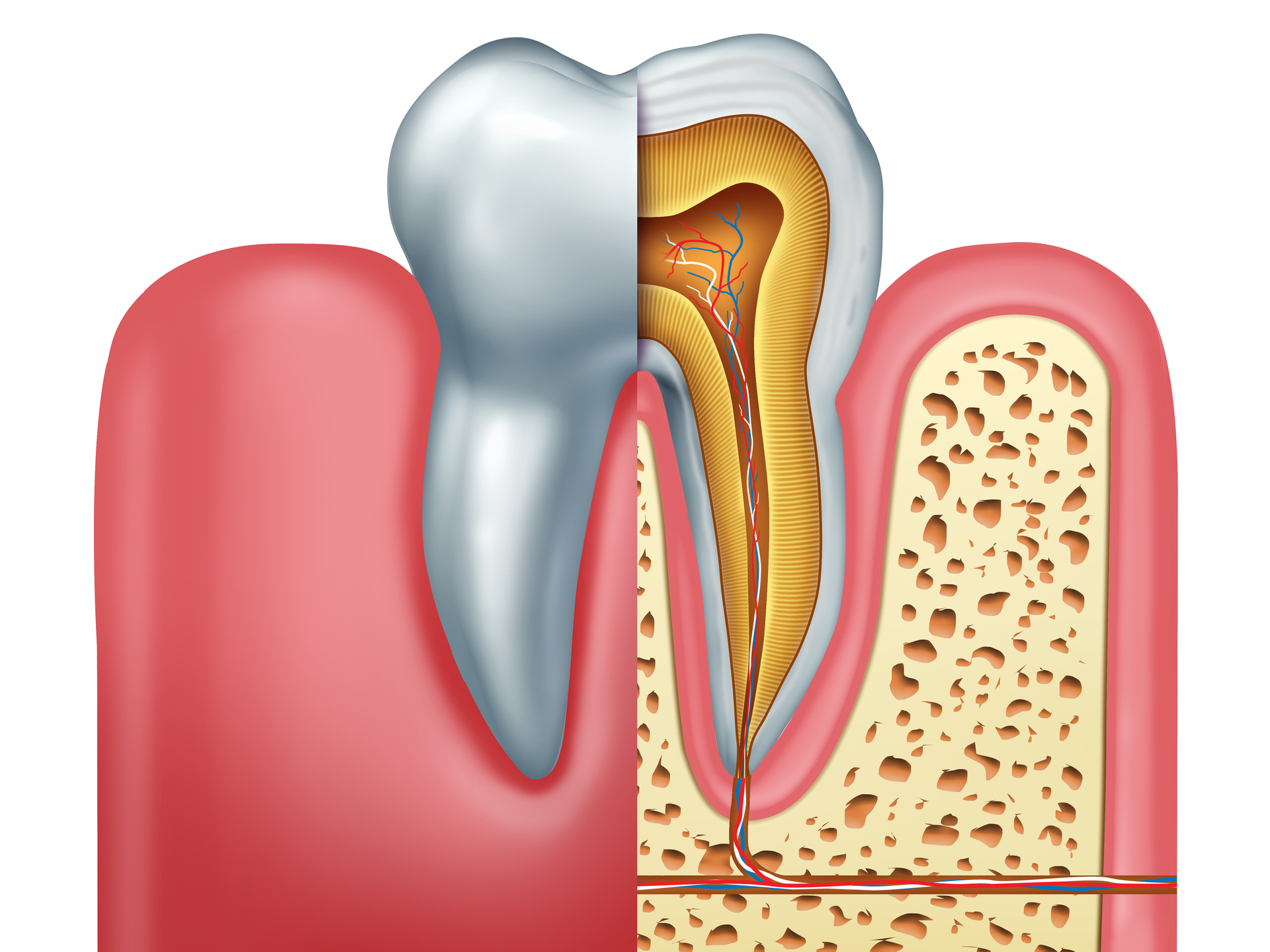 Root Canals — Marysville, WA — Jeffrey L. Erwin DDS