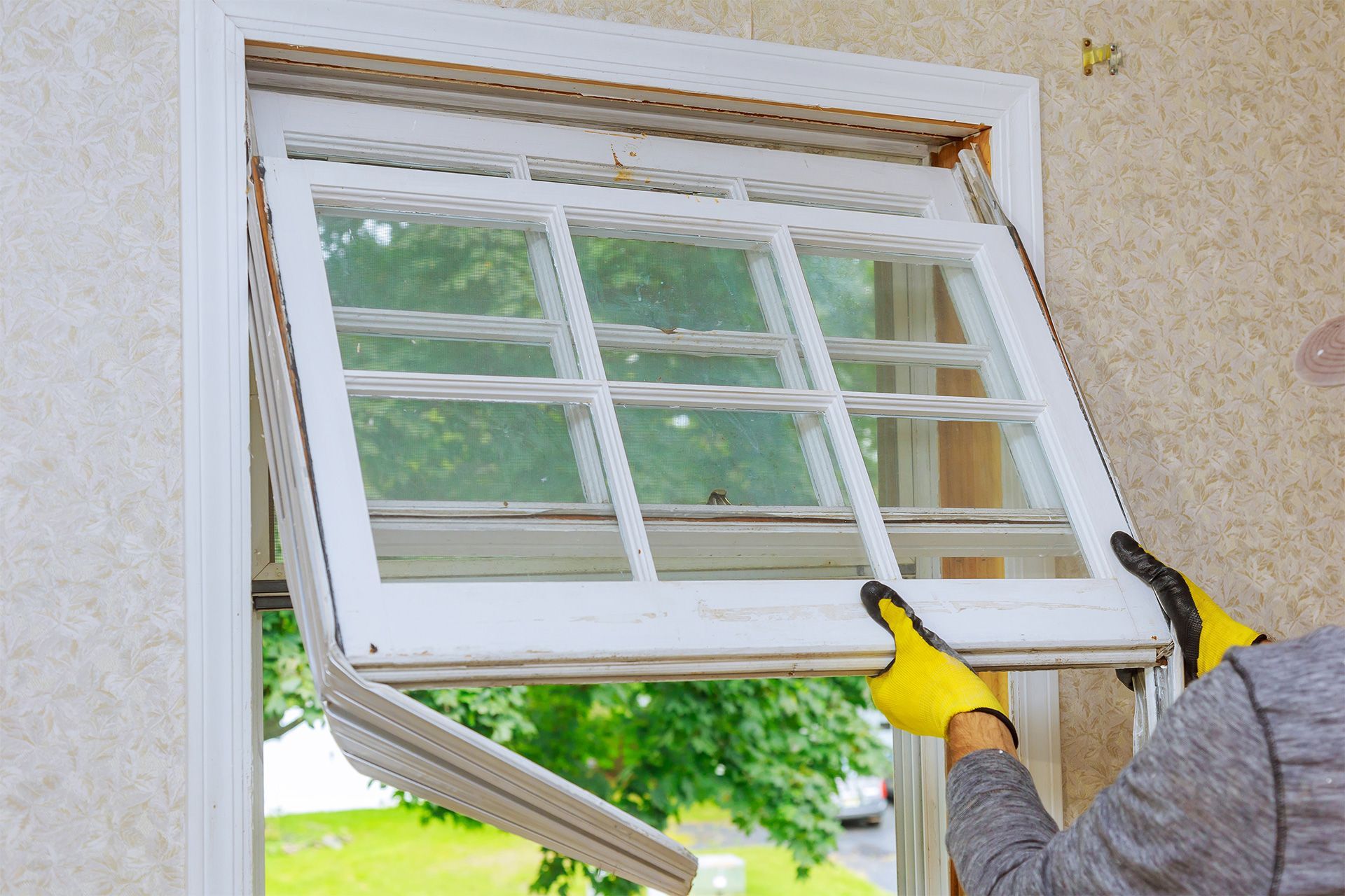 window removal