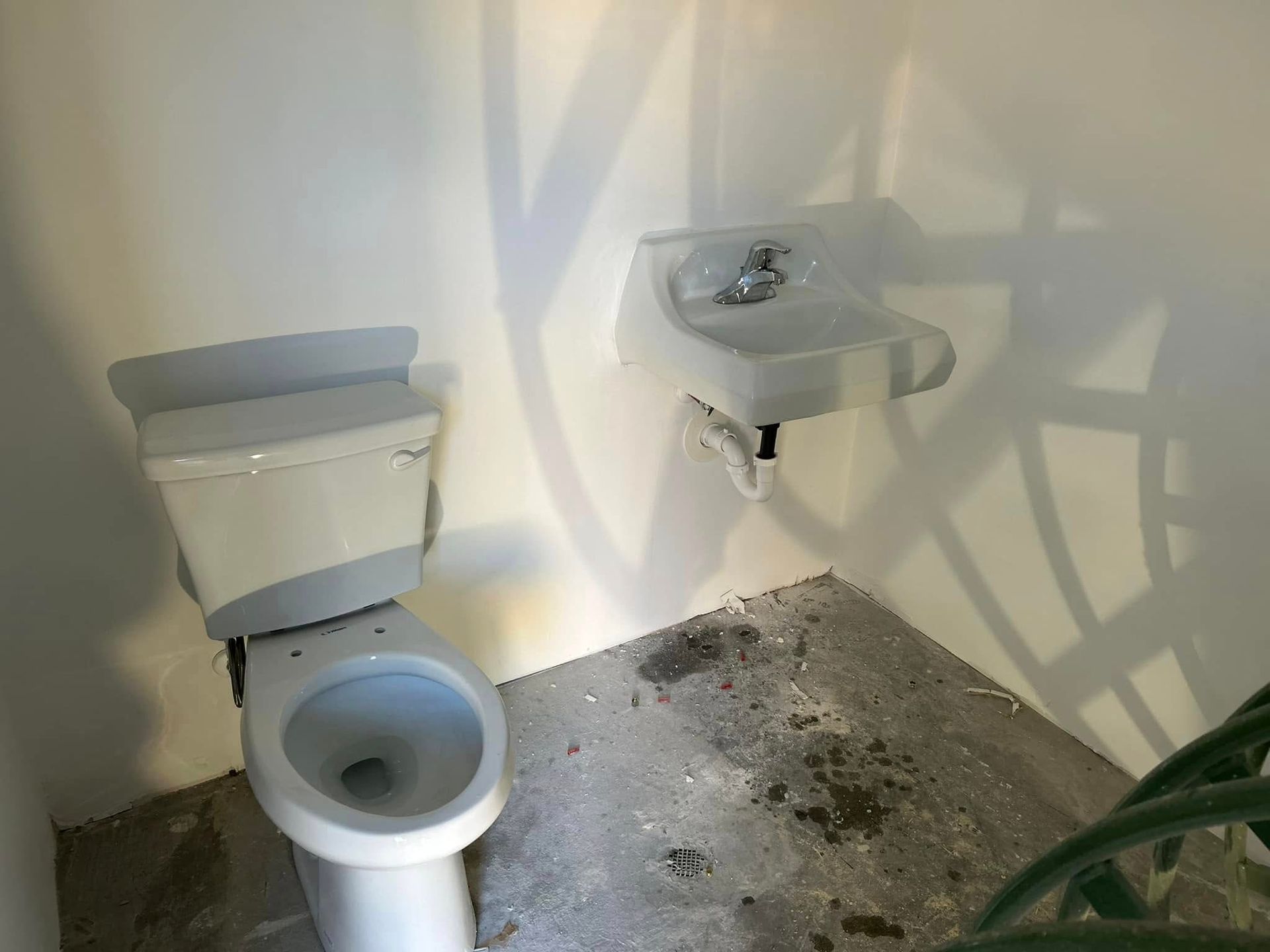 Toilet and sink in a small room. The floor is concrete. White walls, shadows. Plant in lower right.