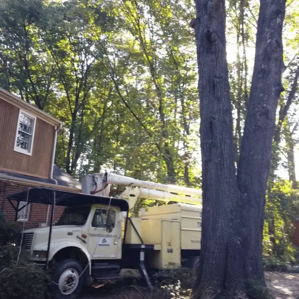 White utility truck with bucket lift parked beside a brown house in a wooded yard