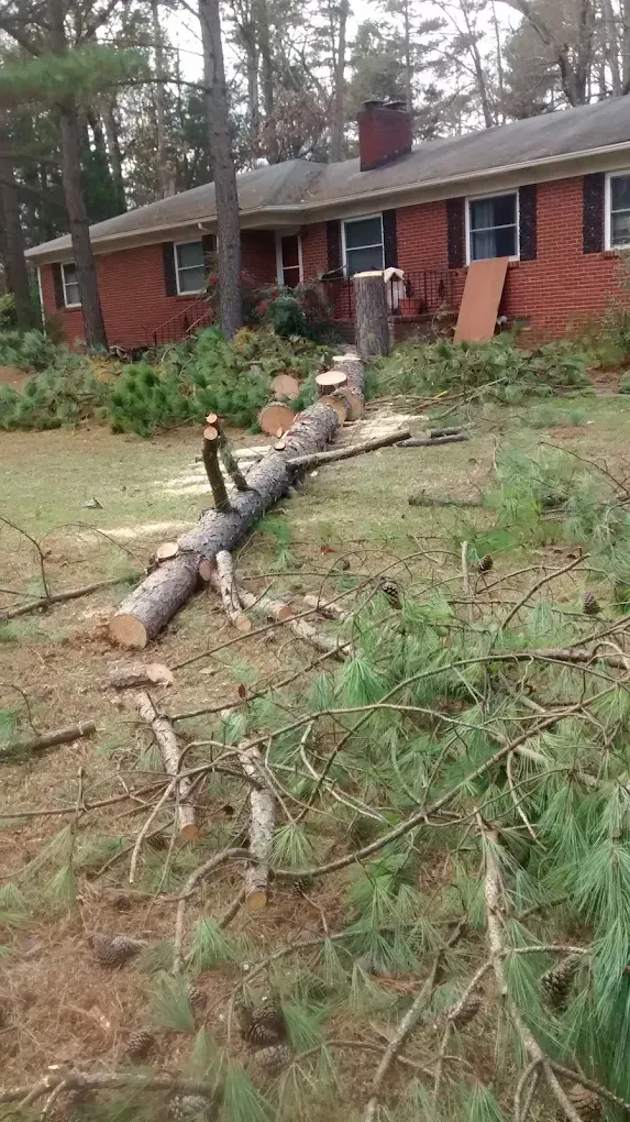 Downed tree in front of a red brick house, with branches and debris scattered across the yard.