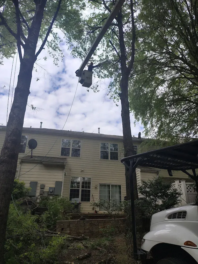 Tree service worker in a bucket lift trimming branches beside a beige house and parked white truck